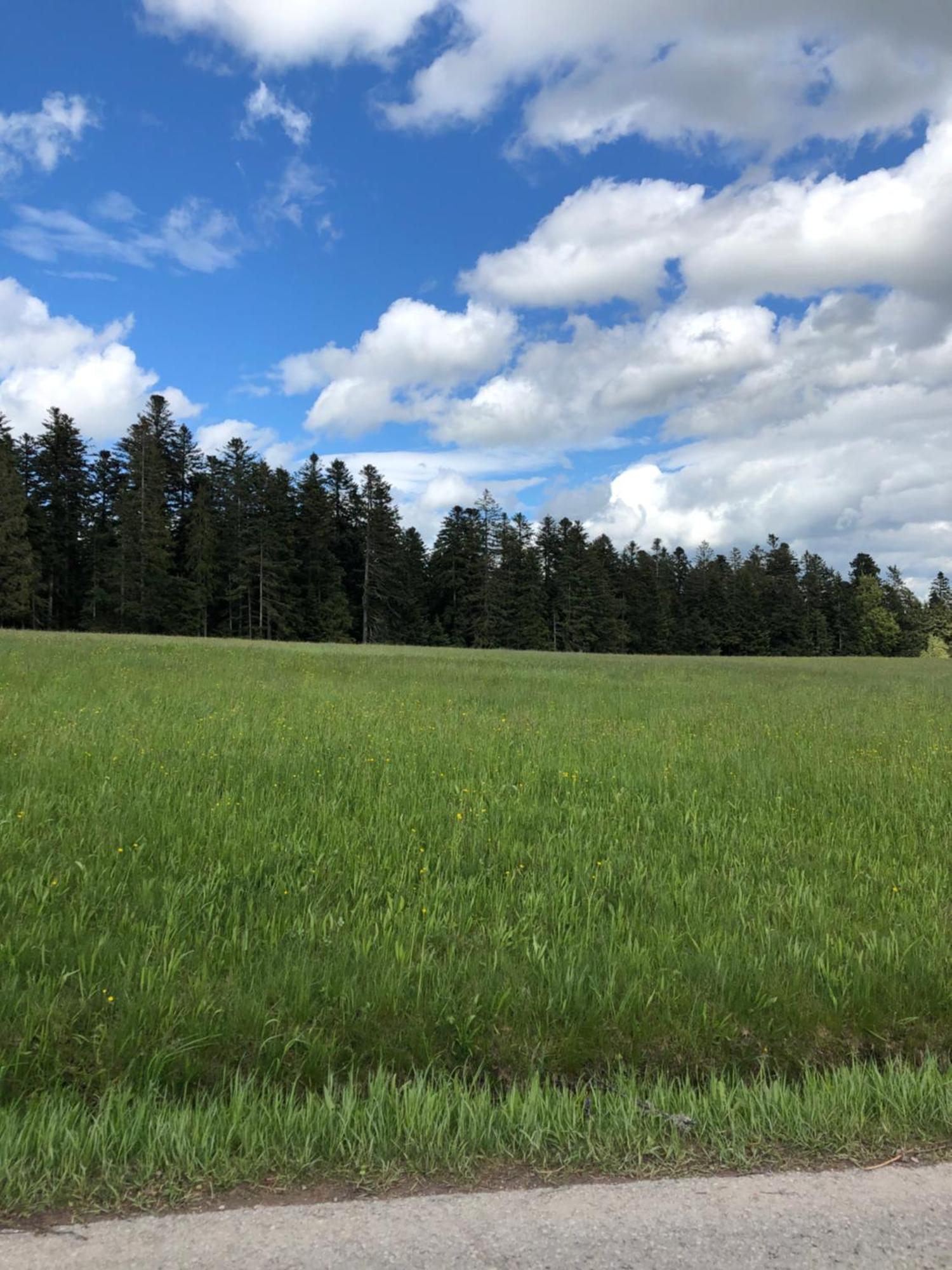Solhof-Schoemberg โลซบวร์ก ภายนอก รูปภาพ