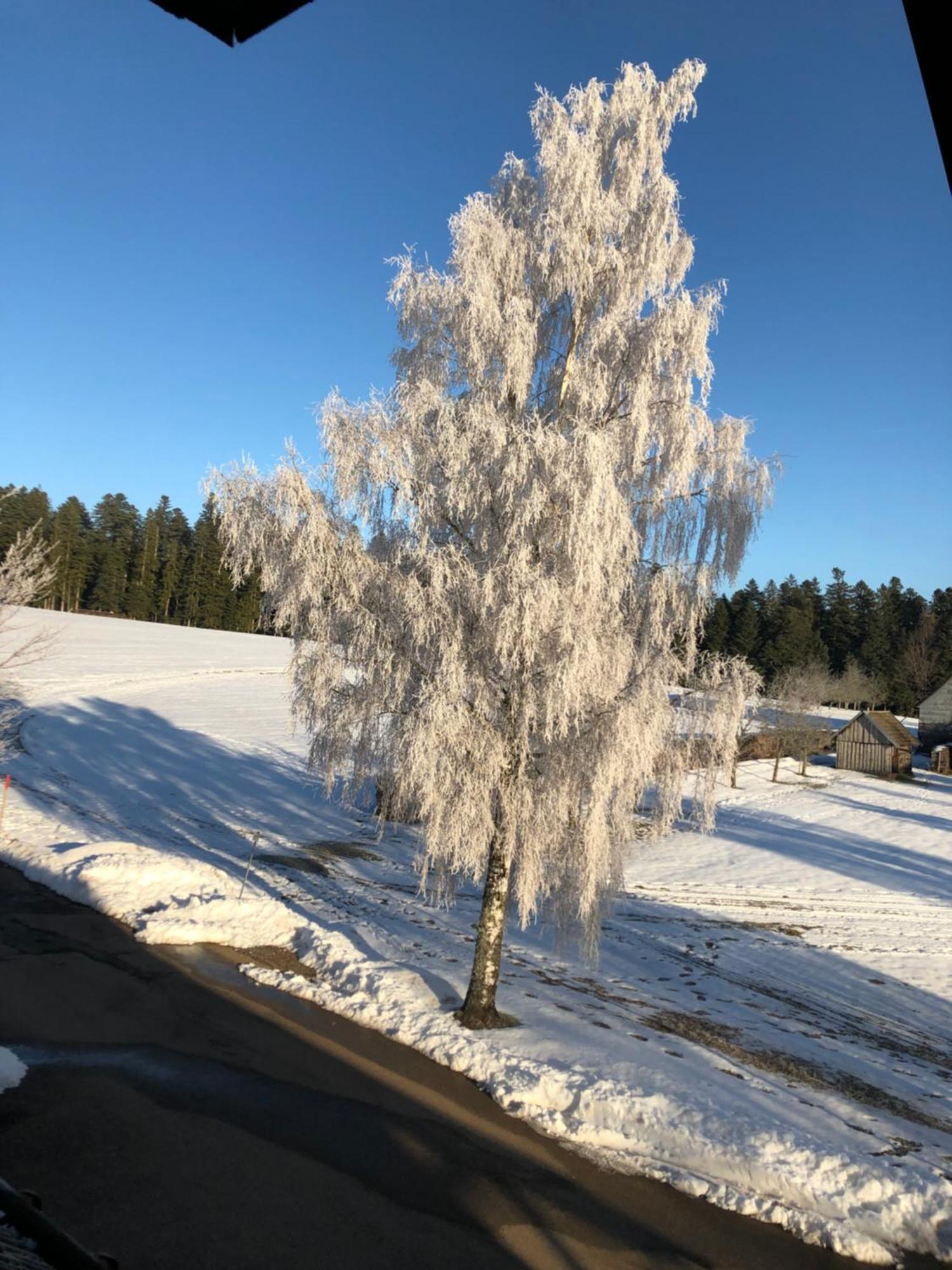 Solhof-Schoemberg โลซบวร์ก ภายนอก รูปภาพ